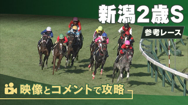 新潟2歳SGIII2025 参考レース
