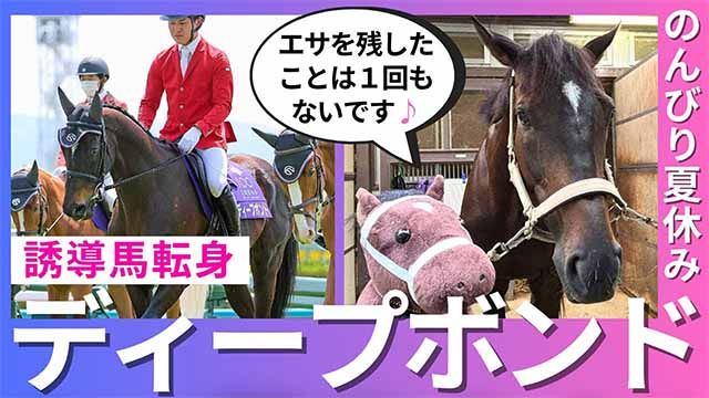【ディープボンドの現在】誘導馬になった「プボくん」の夏休み