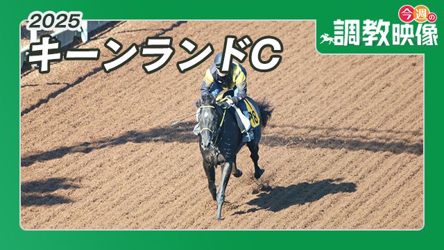 【キーンランドC 2025】調教映像