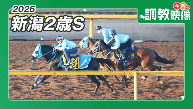 【新潟2歳S 2025】調教映像