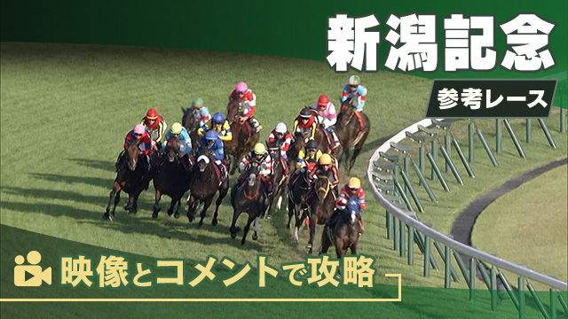 新潟記念GIII2025 参考レース