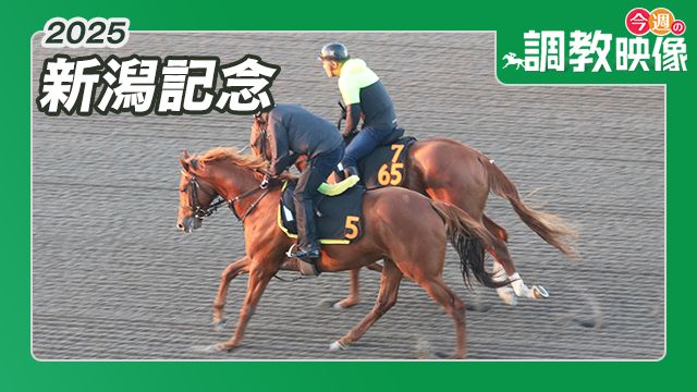 【新潟記念 2025】調教映像