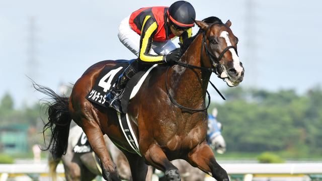 馬とアネモネｓ アネモネステークス レース結果 | 2024年3月10日 中山11R - netkeiba