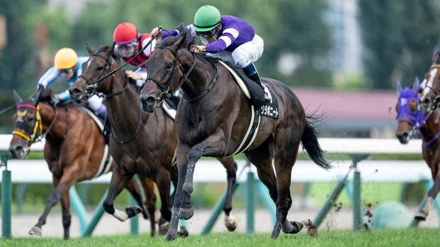 【8/31 日高Sほか】札幌ダイジェスト/JRAレース結果