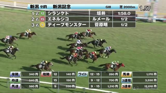 【8/31 新潟記念ほか】新潟ダイジェスト/JRAレース結果