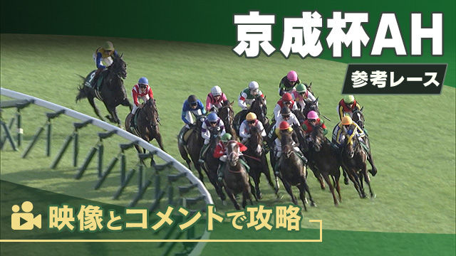 京成杯AHGIII2025 参考レース