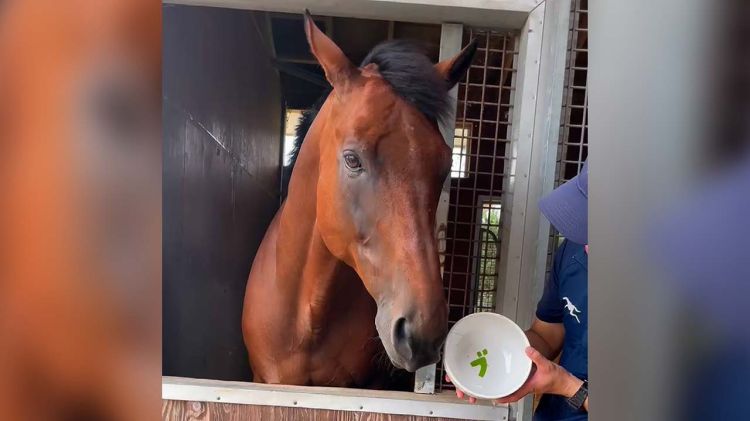 【食いしん坊ブラストワンピース】大盛りどんぶりを秒で完食！