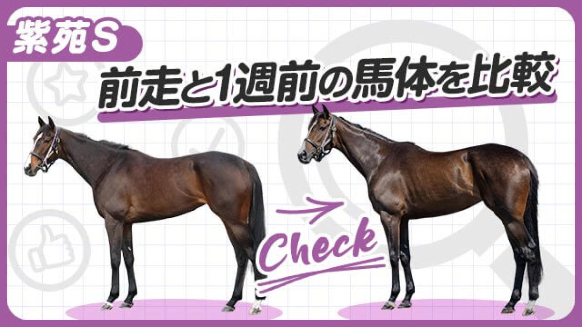 ڻS2025ۥ󥯥ƥåפ䥵ʤ1Τӡ