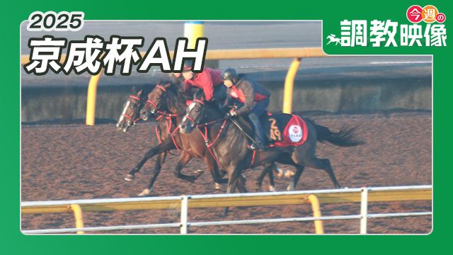 【京成杯AH 2025】調教映像