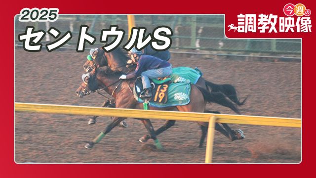 【セントウルS 2025】調教映像