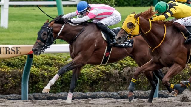 【9/13 初風Sほか】中山ダイジェスト/JRAレース結果