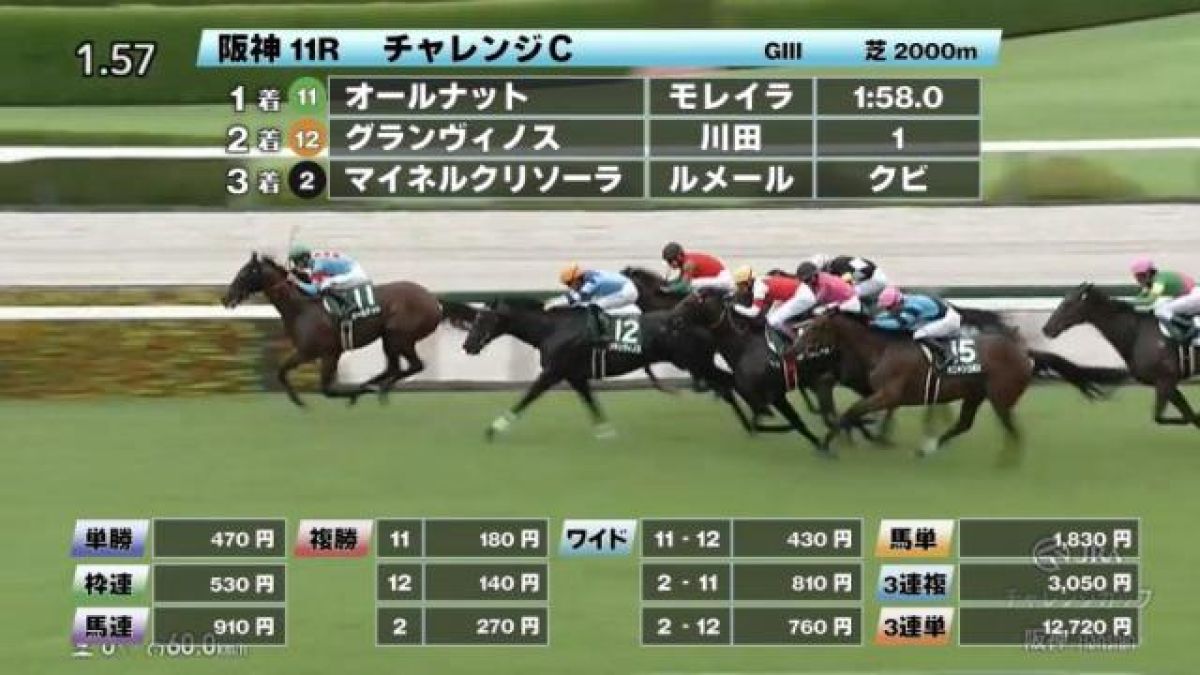 9/13 Cۤۺ/JRA졼