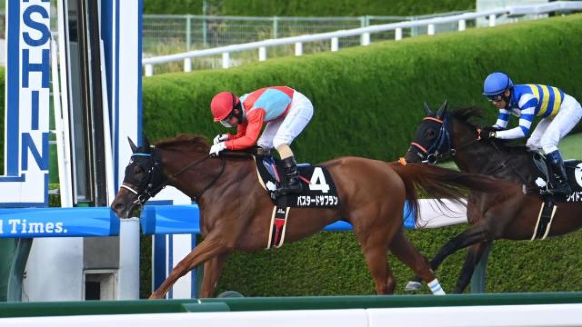 9/15 JRA˥С꡼Sۤۺ/JRA졼