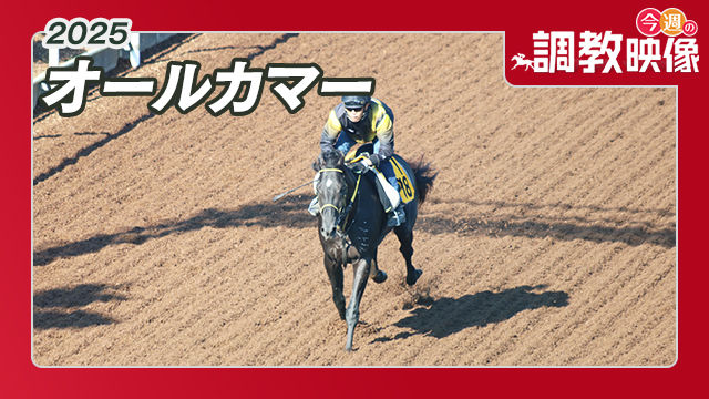 天皇賞(春)・調教後馬体重】ヘデントールは490kg、サンライズ
