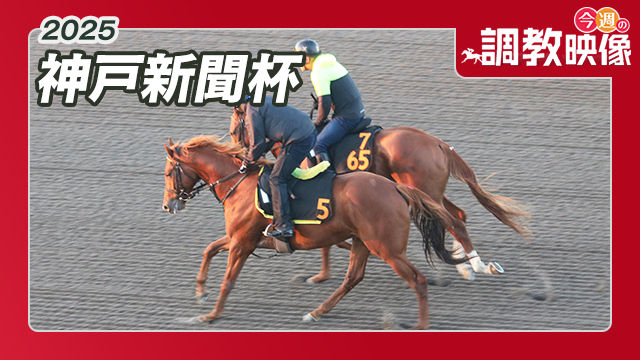 【非売品】【レア】JRA天皇賞(春)　紫舟　オリジナルアート  額入り BOX】「2019年・春 JRA GIセレクション」トレーディングmini色紙