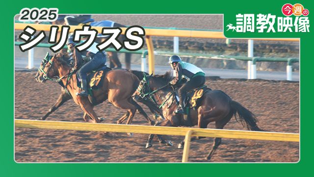 【シリウスS 2025】調教映像