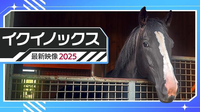 【イクイノックスの今】社台SSで過ごす史上最強馬イクイノックスの日常を公開