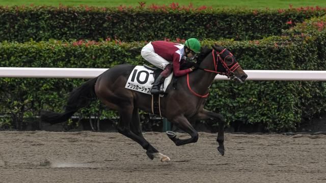 川崎・全日本2歳優駿結果】ドライスタウトが圧巻のレコードV