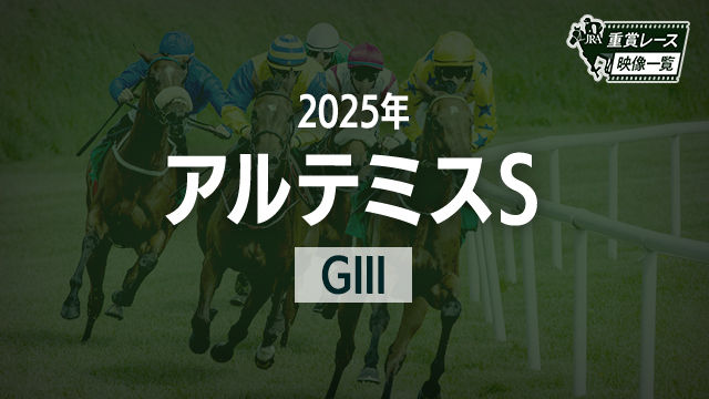 ڥƥߥS2025 졼ۥեƥե(ľ)/JRA  | ľե륵