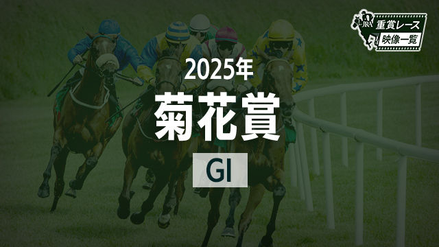 ڵƲ־2025 졼ۥͥ른(C.᡼)/JRA  | ľե륵