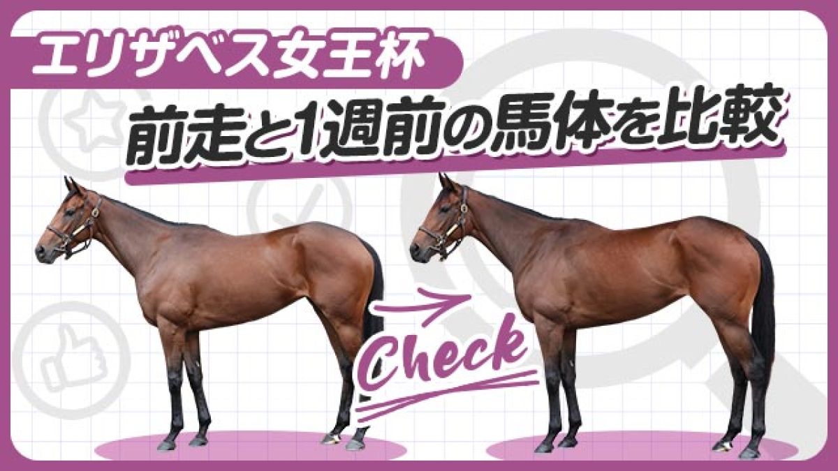 ڥꥶ٥2025ۥ쥬쥤ѥǥ졼̤1Τӡ