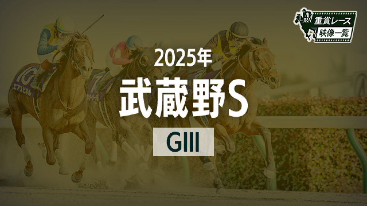 ¢S2025 졼ۥ륯륫ե(D.졼)/JRA 