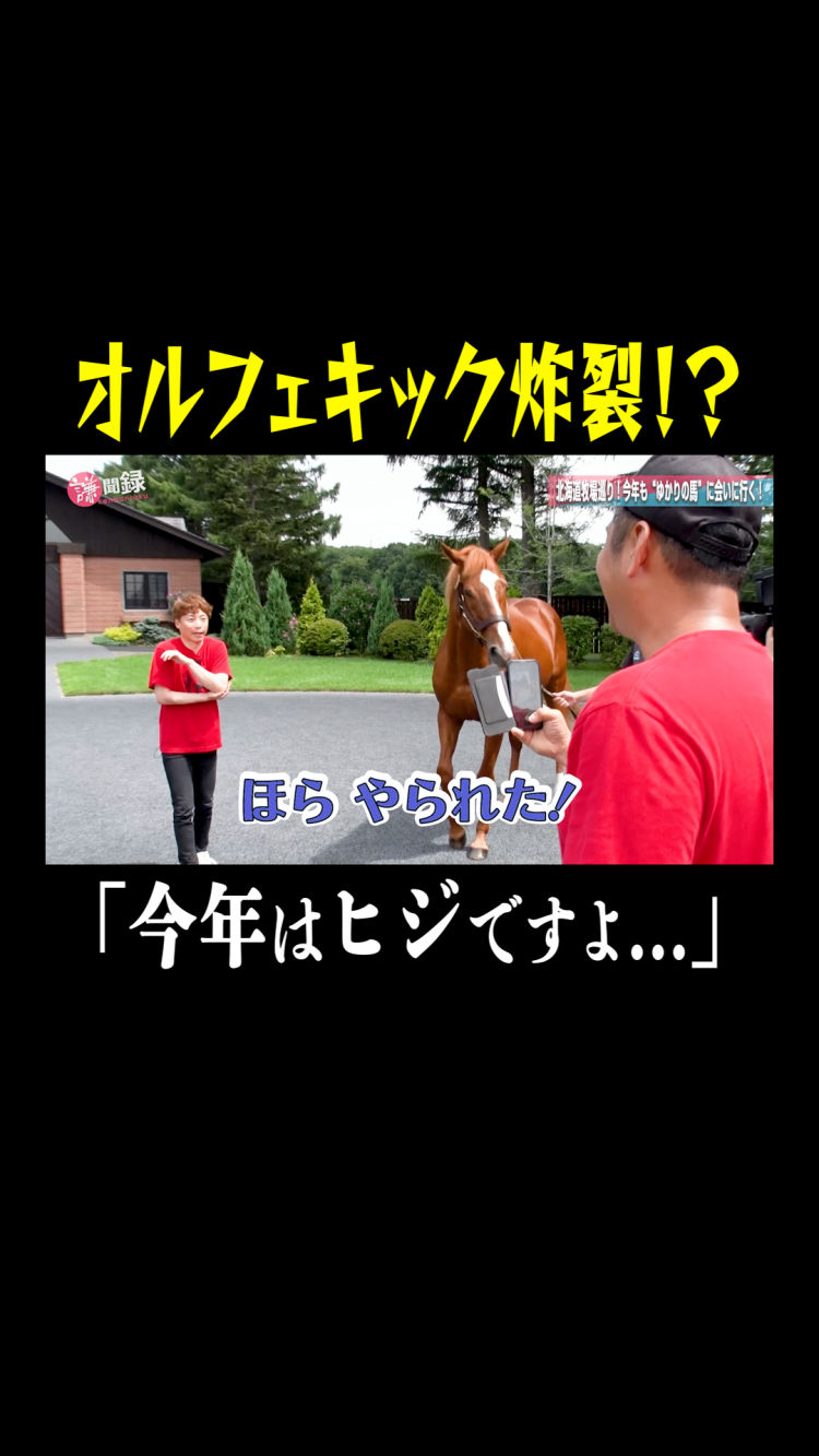 【オルフェキック炸裂!?】今年も"ゆかりの馬"に会いに行く！ 謙聞録#193