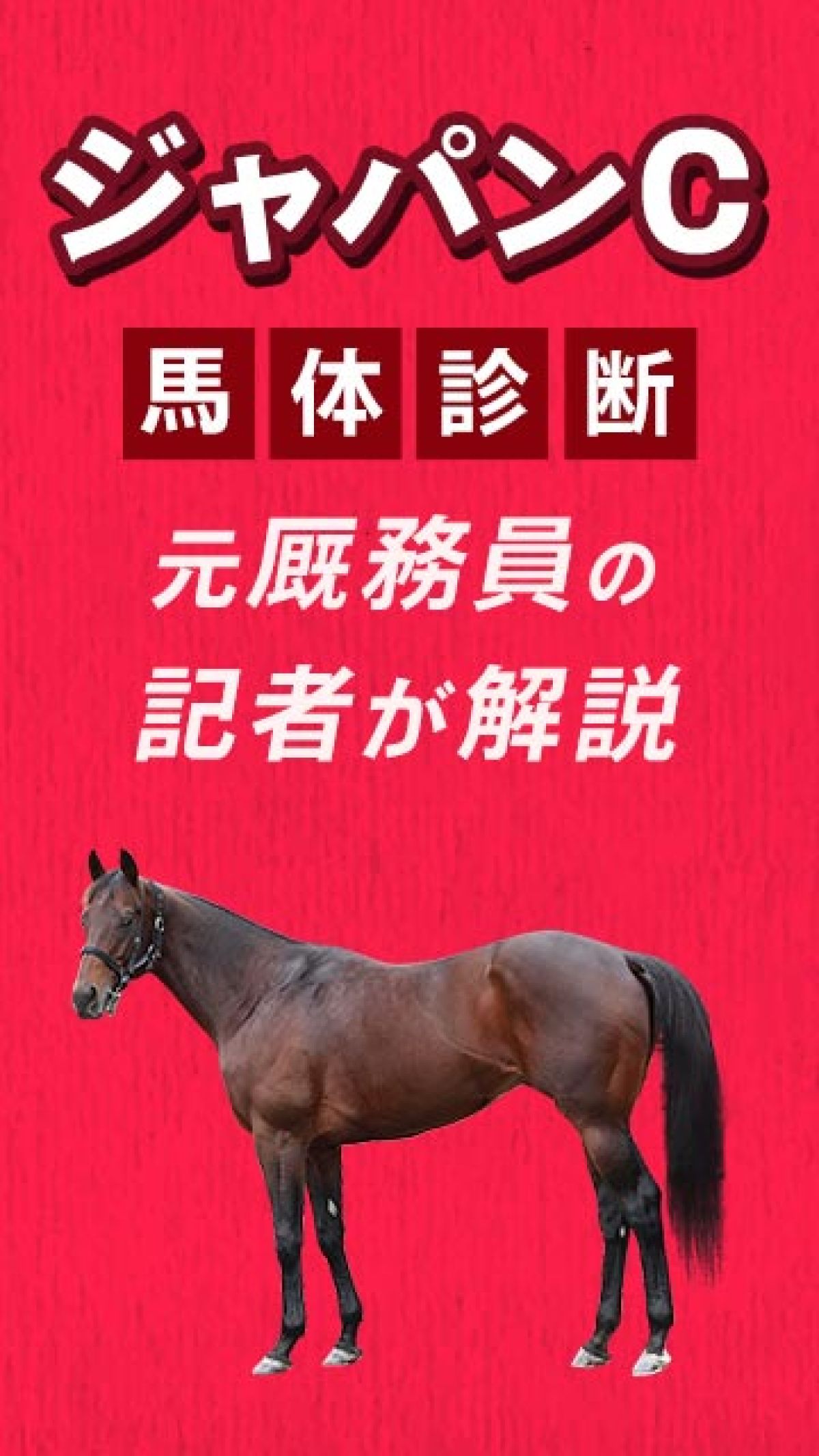 ڥ硼ȡۥѥC2025ͽۡĴΥ祤