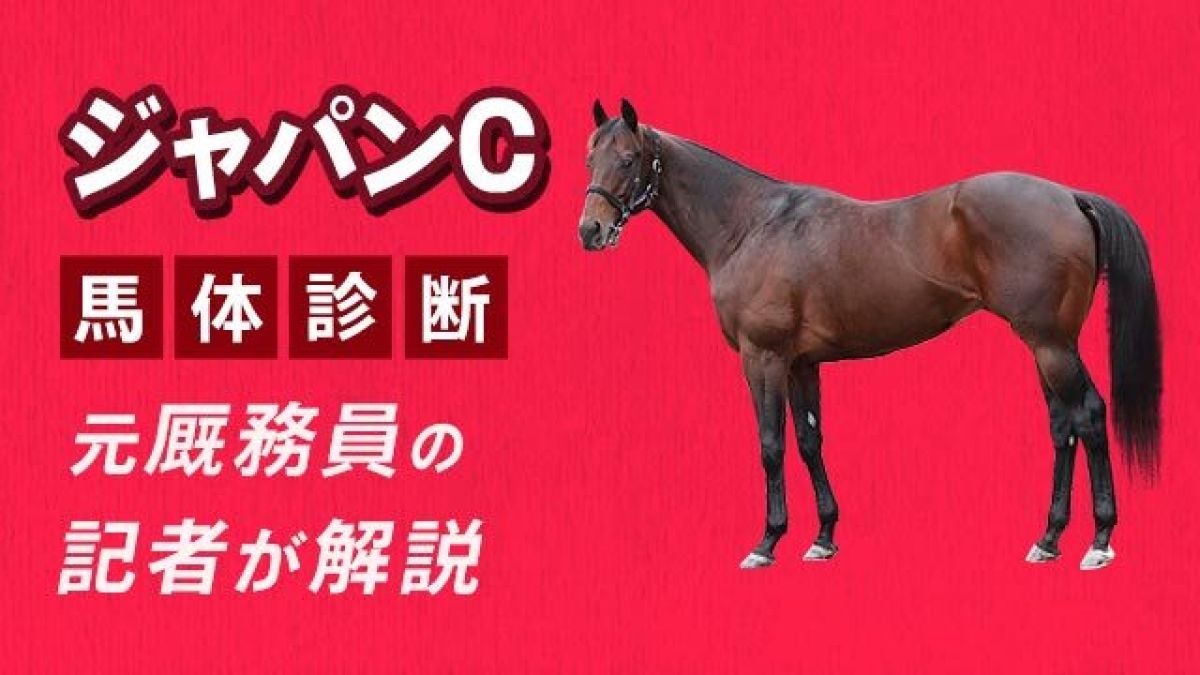 ڥѥC2025ͽۡΤΥ봶ܡ3Ƭԥåå/İ潨