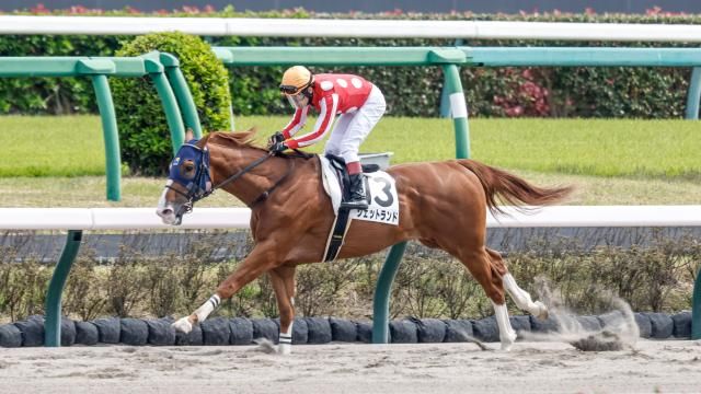 【11/24 奥羽Sほか】福島ダイジェスト/JRAレース結果