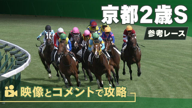 京都2歳SGIII2025 参考レース