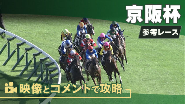 京阪杯GIII2025 参考レース