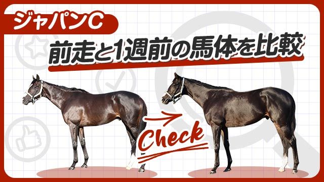 【ジャパンC2025】マスカレードボールやタスティエーラの前走と1週前の馬体を比較！