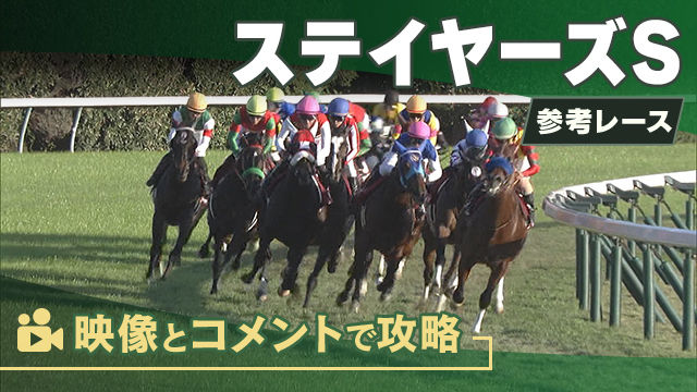 ステイヤーズSGII2025 参考レース