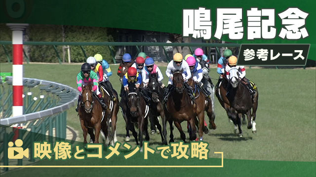 鳴尾記念GIII2025 参考レース