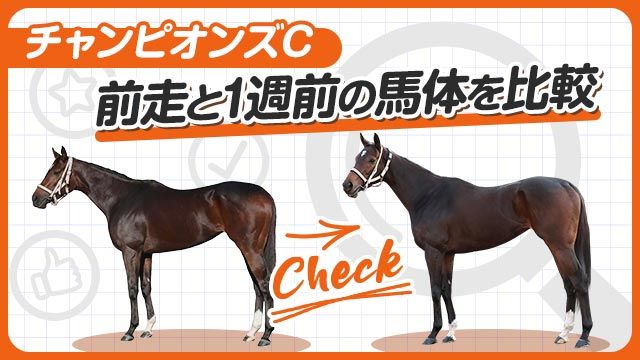 【チャンピオンズC2025】ダブルハートボンドやラムジェットの前走と1週前の馬体を比較！