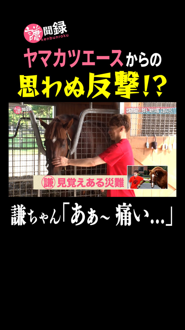 ヤマカツエースと再会！ ナデナデするも思わぬ反撃が…？ 謙聞録#191