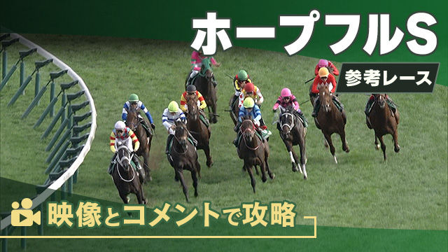 ���ͥ졼������