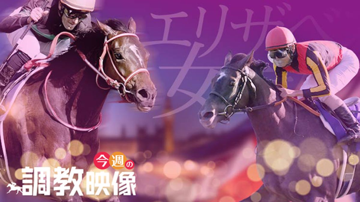 【エリザベス女王杯 2019】調教映像