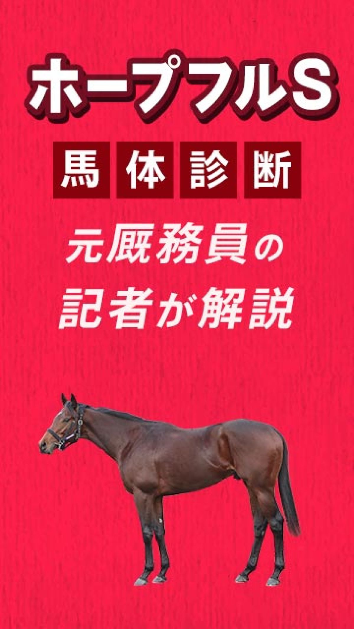 �ڥ��硼�ȡۥۡ��ץե�S2025ͽ�ۡ���Ĵ���Υ��祤��