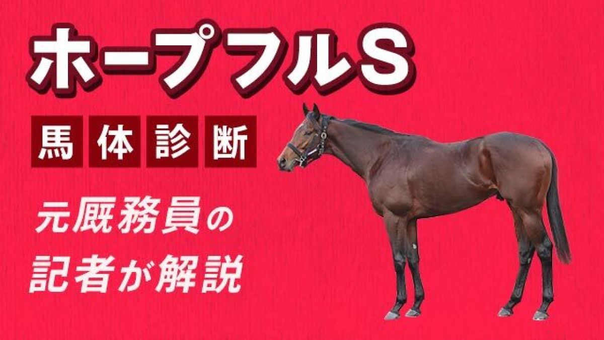 �ڥۡ��ץե�S2025ͽ�ۡ۵�ư�Ϥȥѥ�������������Τ����ܡ�3Ƭ��ԥå����å�/�İ潨��