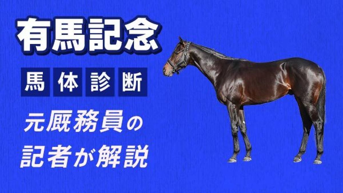 ��ͭ�ϵ�ǰ2025ͽ�ۡۥ��󥰥��ѡ��Ȥ��Ѥ����륹���ߥʤ����ܡ�3Ƭ��ԥå����å�/�İ潨��