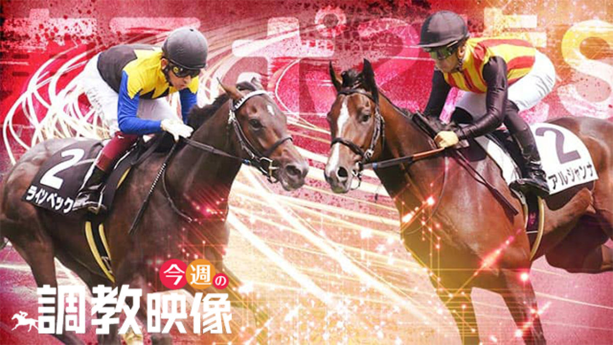 【東京スポーツ杯2歳S 2019】調教映像