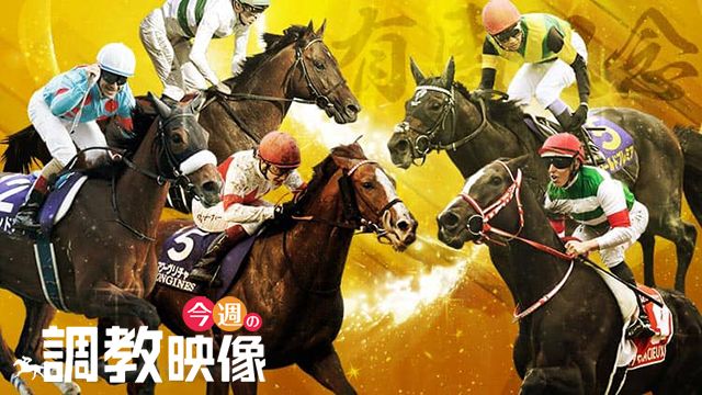 【有馬記念 2019】調教映像
