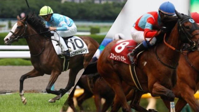【ゴール前から】2019年 衝撃レース映像集【30連発】