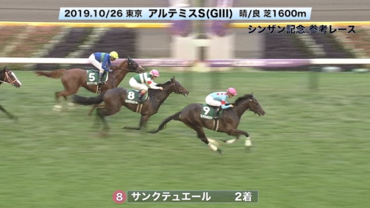 シンザン記念GIII2020 参考レース