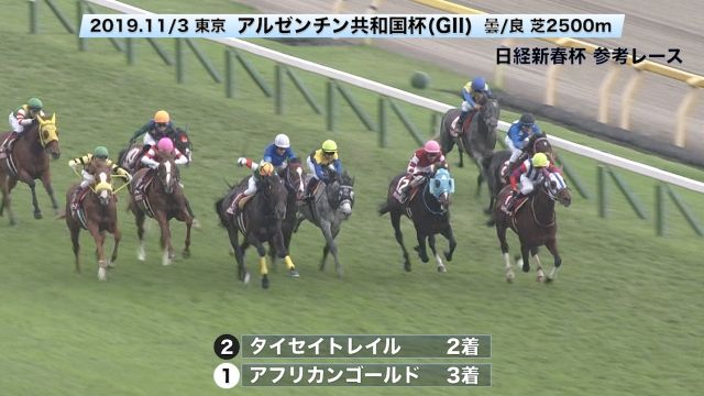 ���ͥ졼������