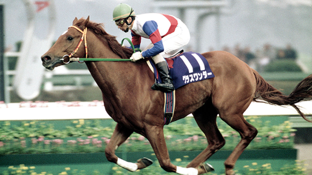 グラスワンダー 時代を彩るライバルたちとの激闘 競馬予想動画 Netkeiba Com