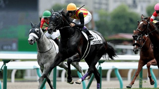 S級近いポテンシャルに武豊騎手も思わずにんまり 丹下日出夫 競馬動画 Netkeiba Com