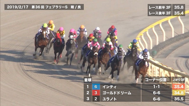【フェブラリーステークス（G1）予想】過去5年のレース映像と特注データ
